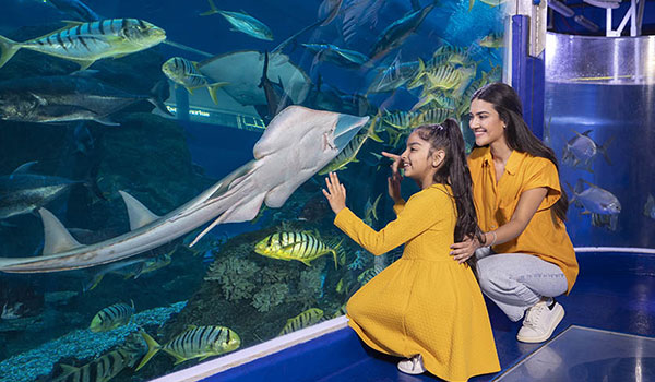 aquarium-mall