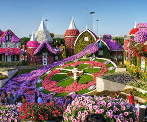 miracle-garden