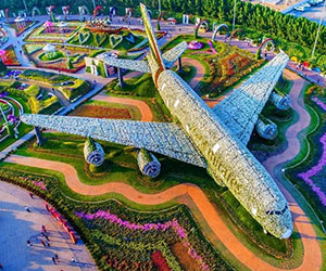 miracle-garden